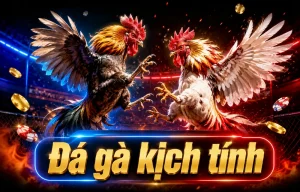 Giao diện đá gà AtsumiiStudio